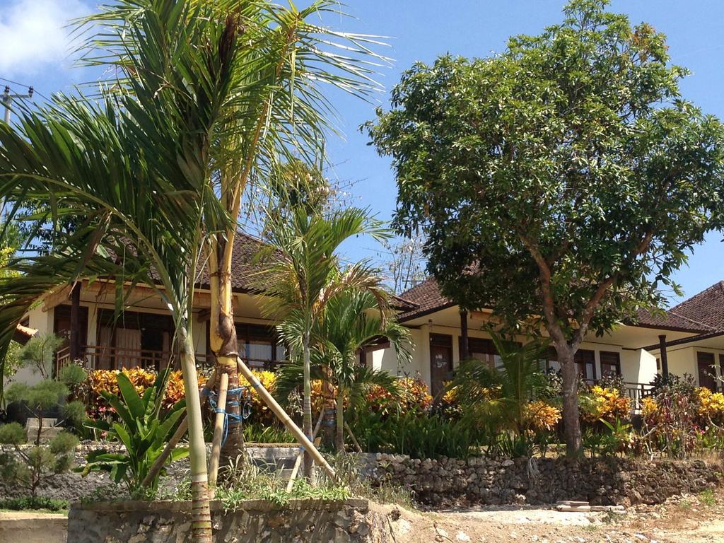 3D Homestay Pecatu Esterno foto