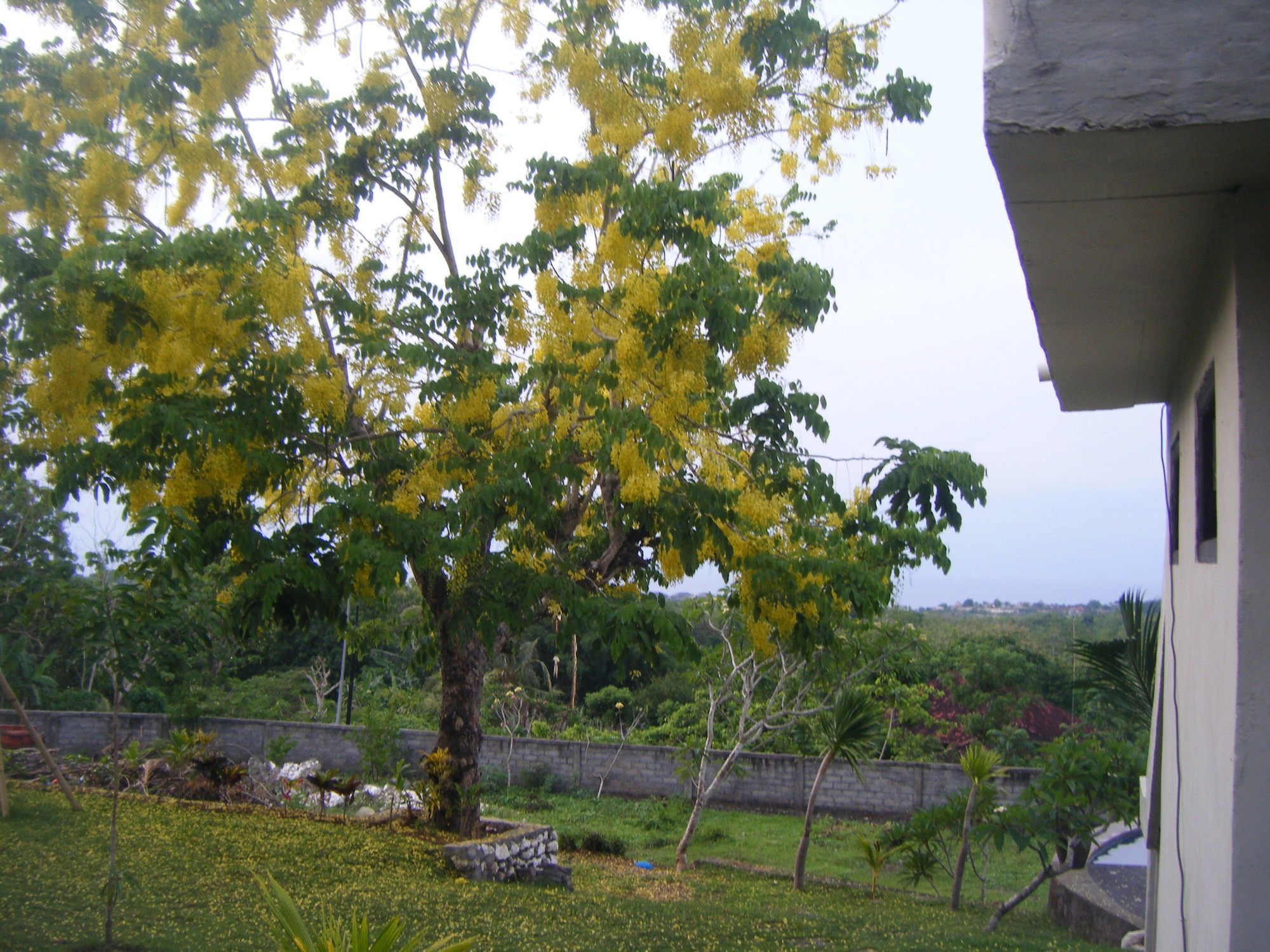 3D Homestay Pecatu Esterno foto
