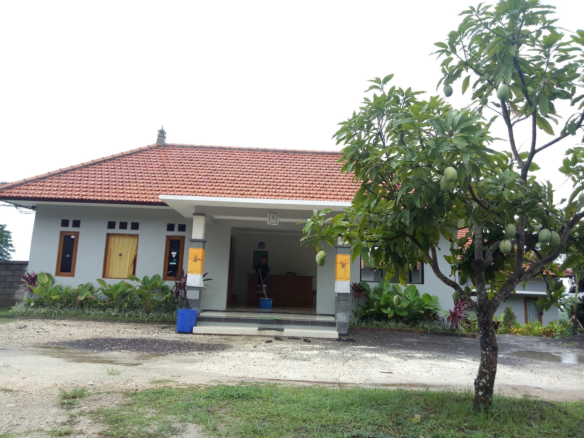 3D Homestay Pecatu Esterno foto